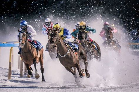 Track Conditions and Their Influence on Horse Racing Betting