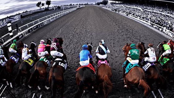 Horse Racing Betting Etiquette: Do's and Don'ts at the Racetrack